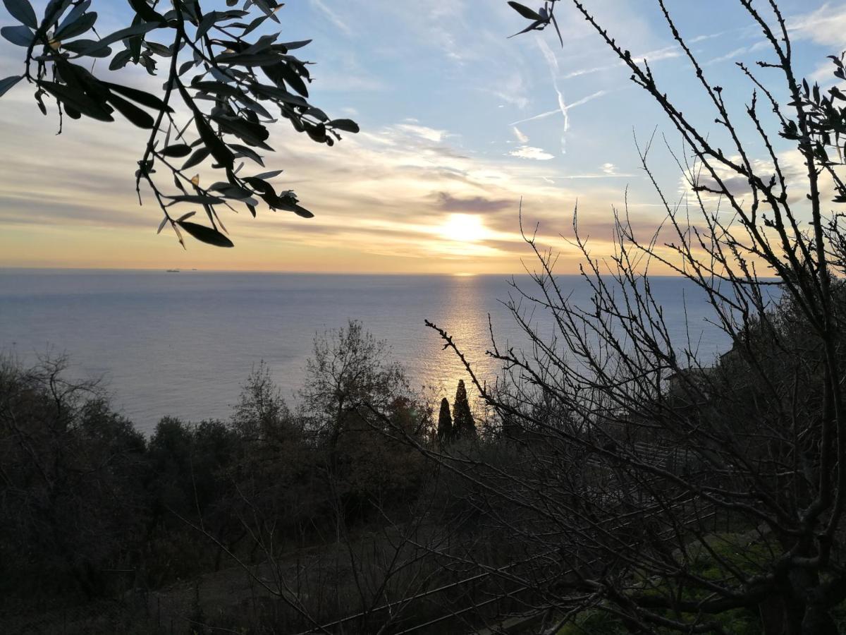 Villa Gio - Terrazza Nel Blu Bergeggi Εξωτερικό φωτογραφία